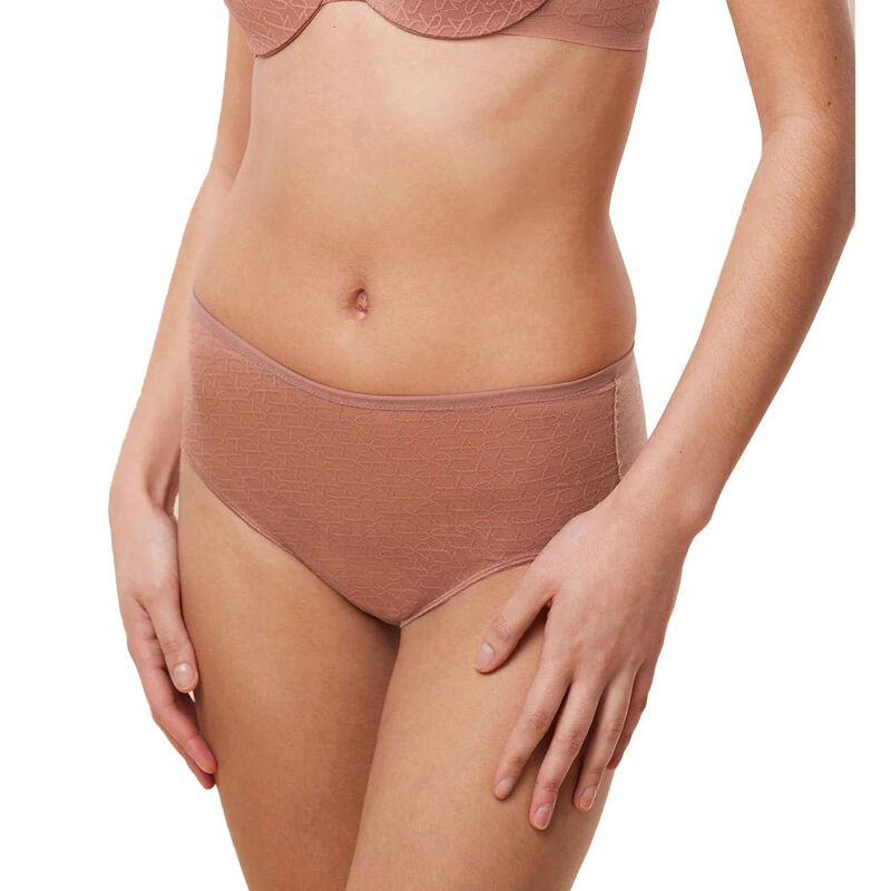 Triumph Signature Sheer Maxi Brief image number 4